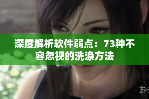 深度解析軟件弱點(diǎn)：73種不容忽視的洗滌方法