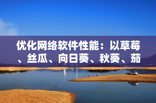 優(yōu)化網(wǎng)絡(luò)軟件性能：以草莓、絲瓜、向日葵、秋葵、茄子為例的技巧與實(shí)踐
