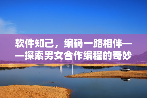 軟件知己，編碼一路相伴——探索男女合作編程的奇妙之旅