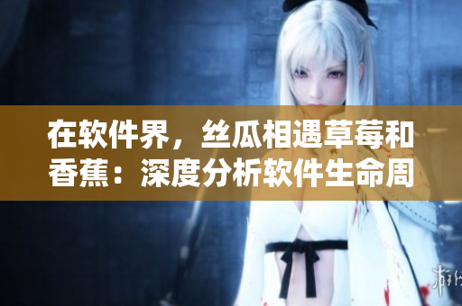 在軟件界，絲瓜相遇草莓和香蕉：深度分析軟件生命周期管理系統(tǒng)