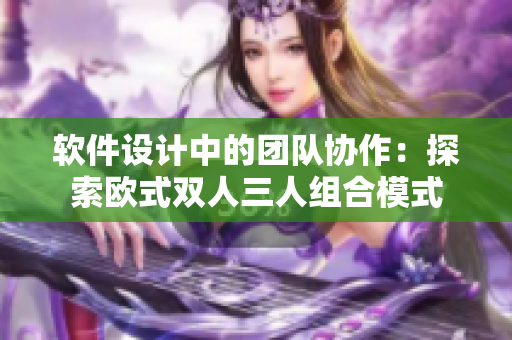 軟件設(shè)計中的團隊協(xié)作：探索歐式雙人三人組合模式