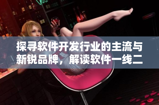 探尋軟件開發(fā)行業(yè)的主流與新銳品牌，解讀軟件一線二線三線新格局