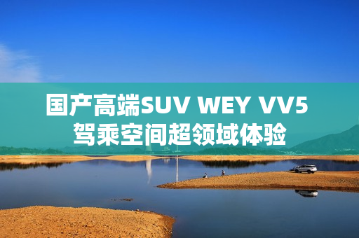 國產(chǎn)高端SUV WEY VV5 駕乘空間超領(lǐng)域體驗