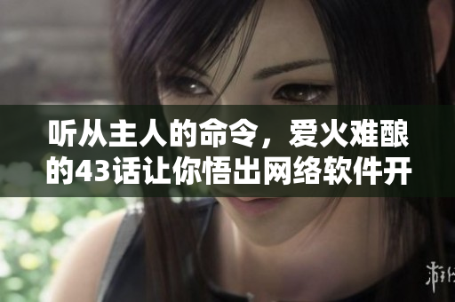 聽(tīng)從主人的命令，愛(ài)火難釀的43話讓你悟出網(wǎng)絡(luò)軟件開(kāi)發(fā)精髓