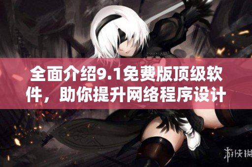 全面介紹9.1免費版頂級軟件，助你提升網(wǎng)絡(luò)程序設(shè)計技能！