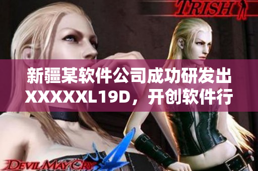 新疆某軟件公司成功研發(fā)出XXXXXL19D，開創(chuàng)軟件行業(yè)全新模式