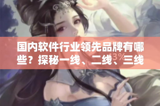 國內(nèi)軟件行業(yè)領(lǐng)先品牌有哪些？探秘一線、二線、三線軟件廠商！