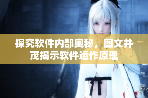 探究軟件內(nèi)部奧秘，圖文并茂揭示軟件運(yùn)作原理