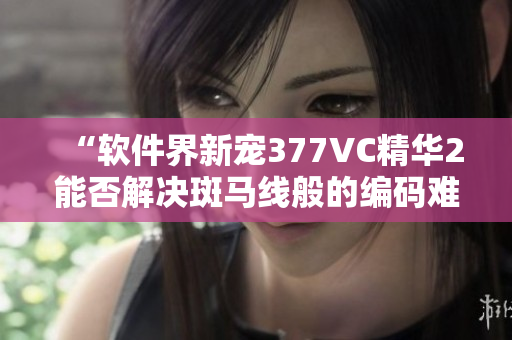 “軟件界新寵377VC精華2能否解決斑馬線般的編碼難題？”