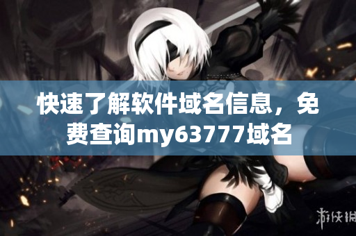 快速了解軟件域名信息，免費查詢my63777域名