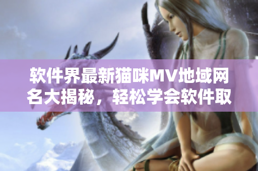 軟件界最新貓咪MV地域網(wǎng)名大揭秘，輕松學(xué)會(huì)軟件取名技巧