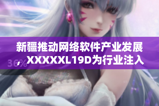 新疆推動(dòng)網(wǎng)絡(luò)軟件產(chǎn)業(yè)發(fā)展，XXXXXL19D為行業(yè)注入活力