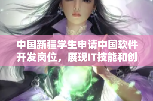 中國(guó)新疆學(xué)生申請(qǐng)中國(guó)軟件開發(fā)崗位，展現(xiàn)IT技能和創(chuàng)新能力