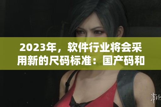2023年，軟件行業(yè)將會采用新的尺碼標準：國產(chǎn)碼和歐洲碼表解析。