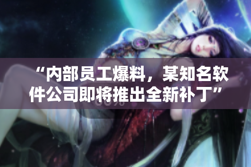 “內(nèi)部員工爆料，某知名軟件公司即將推出全新補丁”