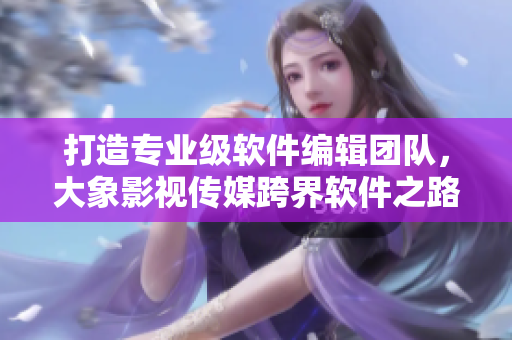 打造專業(yè)級軟件編輯團(tuán)隊(duì)，大象影視傳媒跨界軟件之路