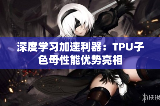深度學習加速利器：TPU子色母性能優(yōu)勢亮相