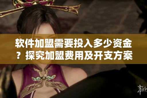 軟件加盟需要投入多少資金？探究加盟費用及開支方案
