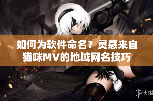 如何為軟件命名？靈感來自貓咪MV的地域網(wǎng)名技巧