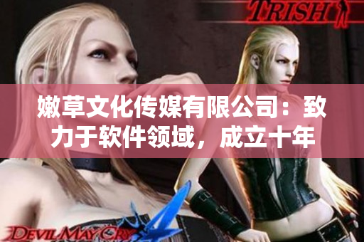 嫩草文化傳媒有限公司：致力于軟件領(lǐng)域，成立十年