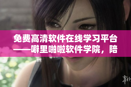免費(fèi)高清軟件在線學(xué)習(xí)平臺(tái)——噼里啪啦軟件學(xué)院，陪你找到碼路的方向