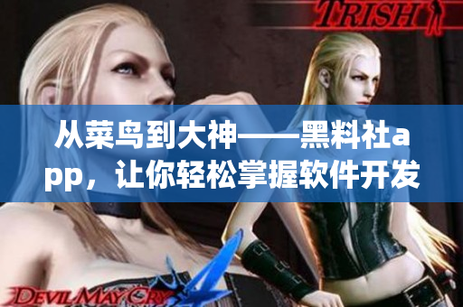 從菜鳥到大神——黑料社app，讓你輕松掌握軟件開發(fā)技能