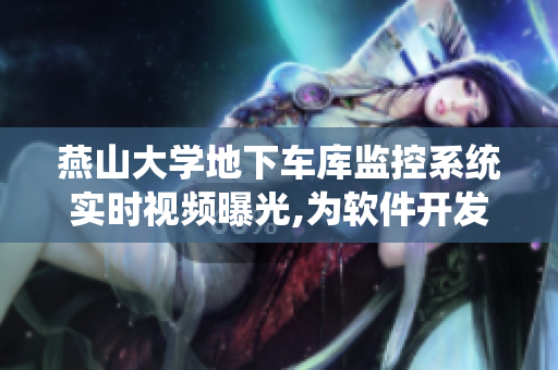 燕山大學(xué)地下車庫監(jiān)控系統(tǒng)實(shí)時(shí)視頻曝光,為軟件開發(fā)者帶來新的創(chuàng)作靈感