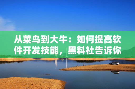 從菜鳥到大牛：如何提高軟件開發(fā)技能，黑料社告訴你！