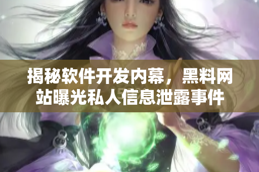 揭秘軟件開發(fā)內(nèi)幕，黑料網(wǎng)站曝光私人信息泄露事件