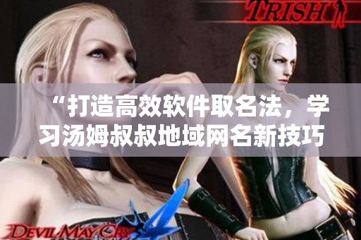 “打造高效軟件取名法，學(xué)習(xí)湯姆叔叔地域網(wǎng)名新技巧！”