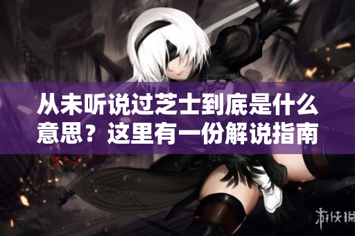 從未聽說過芝士到底是什么意思？這里有一份解說指南。