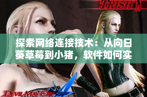 探索網(wǎng)絡(luò)連接技術(shù)：從向日葵草莓到小豬，軟件如何實(shí)現(xiàn)數(shù)據(jù)傳輸和處理
