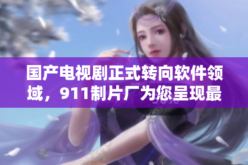 國產(chǎn)電視劇正式轉(zhuǎn)向軟件領(lǐng)域，911制片廠為您呈現(xiàn)最新力作！