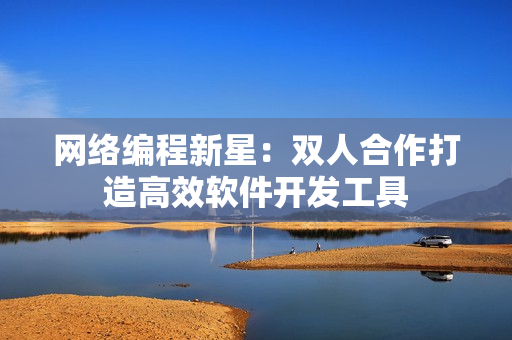 網(wǎng)絡編程新星：雙人合作打造高效軟件開發(fā)工具