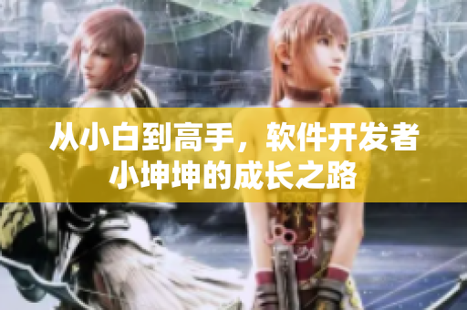 從小白到高手，軟件開發(fā)者小坤坤的成長之路