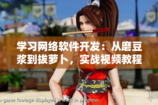 學(xué)習(xí)網(wǎng)絡(luò)軟件開(kāi)發(fā)：從磨豆?jié){到拔蘿卜，實(shí)戰(zhàn)視頻教程！
