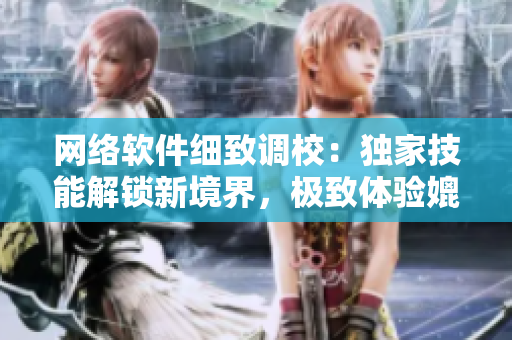 網(wǎng)絡(luò)軟件細致調(diào)校：獨家技能解鎖新境界，極致體驗媲美限量版