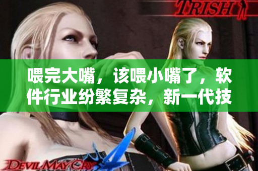 喂完大嘴，該喂小嘴了，軟件行業(yè)紛繁復(fù)雜，新一代技術(shù)需求勢在必行