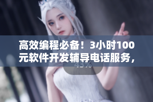 高效編程必備！3小時(shí)100元軟件開(kāi)發(fā)輔導(dǎo)電話服務(wù)，幫你解決編程難題