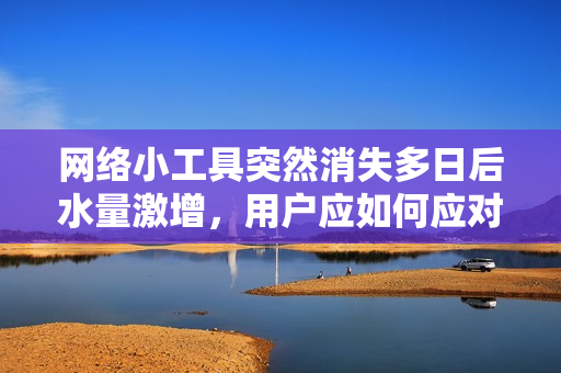 網(wǎng)絡(luò)小工具突然消失多日后水量激增，用戶應如何應對？