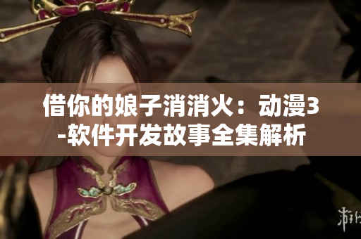 借你的娘子消消火：動(dòng)漫3-軟件開發(fā)故事全集解析