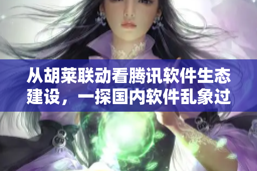 從胡萊聯(lián)動(dòng)看騰訊軟件生態(tài)建設(shè)，一探國內(nèi)軟件亂象過往與未來。