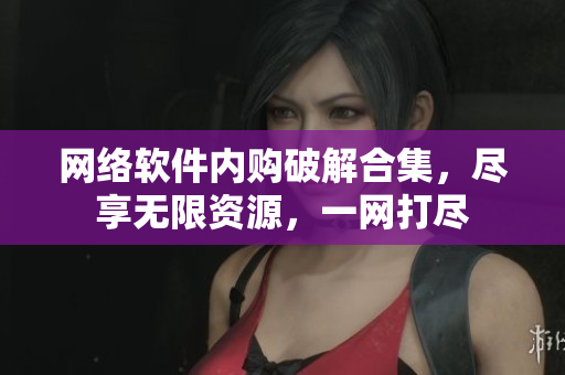 網(wǎng)絡軟件內(nèi)購破解合集，盡享無限資源，一網(wǎng)打盡