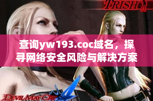 查詢yw193.coc域名，探尋網(wǎng)絡(luò)安全風(fēng)險與解決方案