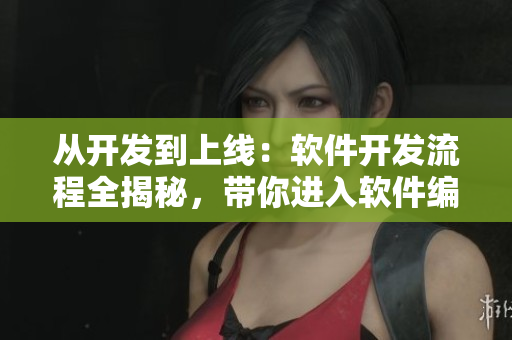 從開發(fā)到上線：軟件開發(fā)流程全揭秘，帶你進(jìn)入軟件編程的世界