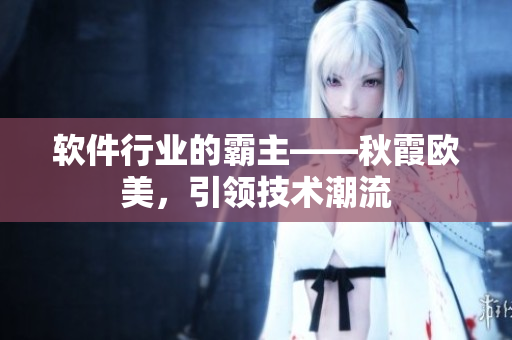 軟件行業(yè)的霸主——秋霞?xì)W美，引領(lǐng)技術(shù)潮流