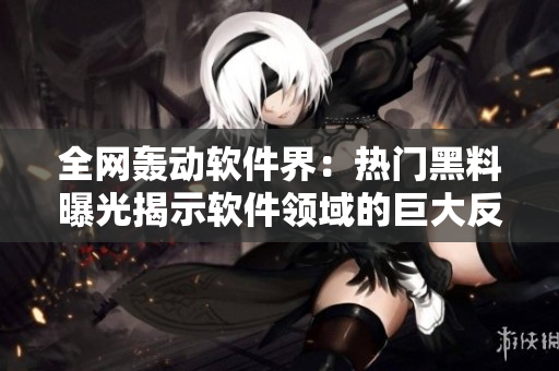 全網(wǎng)轟動軟件界：熱門黑料曝光揭示軟件領(lǐng)域的巨大反差差距