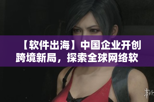 【軟件出?！恐袊?guó)企業(yè)開創(chuàng)跨境新局，探索全球網(wǎng)絡(luò)軟件市場(chǎng)！