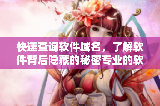快速查詢軟件域名，了解軟件背后隱藏的秘密專業(yè)的軟件查詢工具