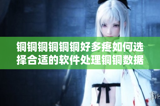銅銅銅銅銅銅好多疼如何選擇合適的軟件處理銅銅數據